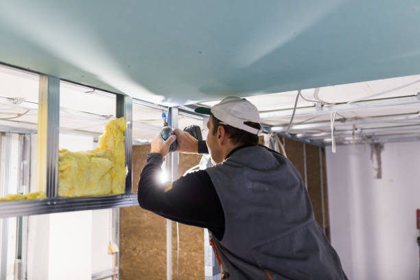 Best Blown-in Insulation in Virginia Beach, VA