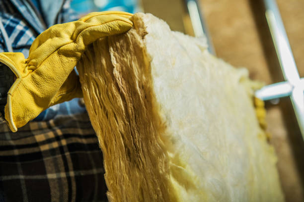 Best Insulation Maintenance and Repair in Virginia Beach, VA