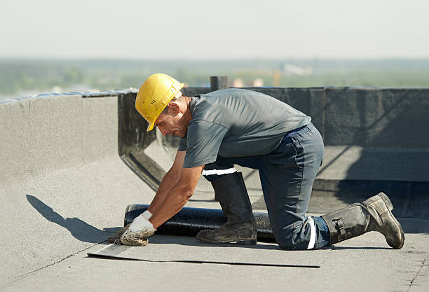 Best Specialized Insulation Services in Virginia Beach, VA