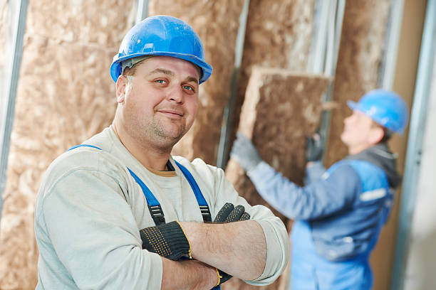 Best Geographic-Specific Insulation Services in Virginia Beach, VA