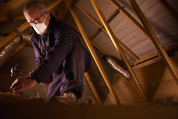 Types of Insulation We Offer in Virginia Beach, VA